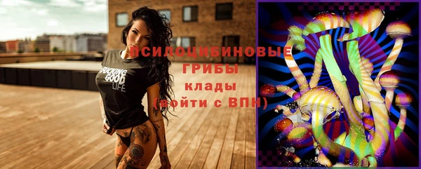 эйфоретик Балахна