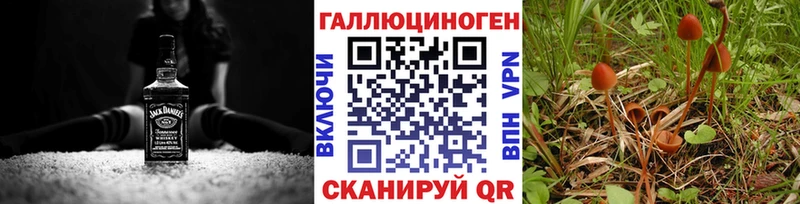сколько стоит  Курильск  Псилоцибиновые грибы ЛСД 