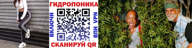 Бошки Шишки индика  где продают наркотики  Курильск 